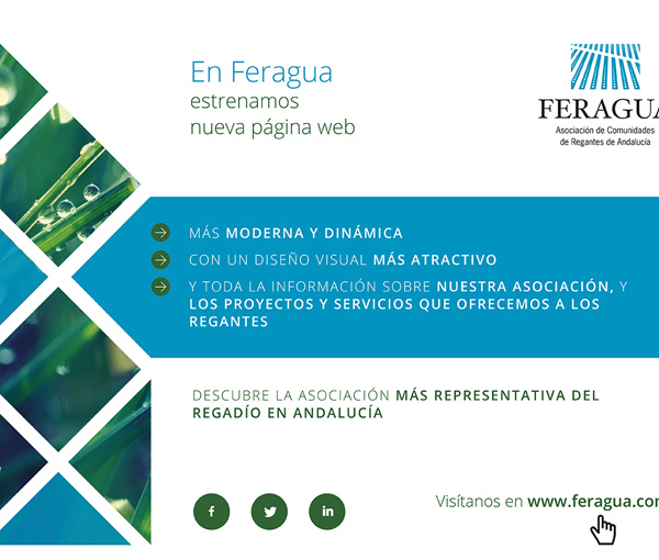 FERAGUA estrena nueva página web - ¡Visítanos!