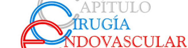 CONVOCATORIA DE PRENSA: Campaña informativa sobre las patologías vasculares y su tratamiento con técnicas endovasculares (sin cirugía abierta)