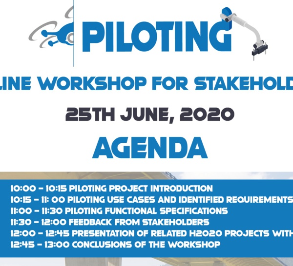 25 de junio: Webinario sobre el proyecto PILOTING / PILOTING Project Online workshop next June 25th