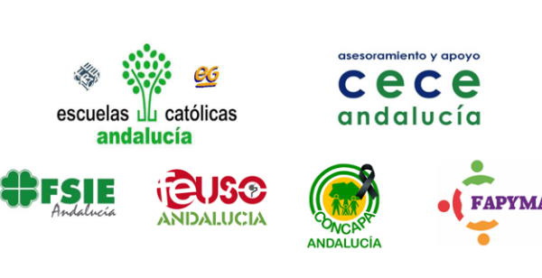 La plataforma ‘Más Plurales’ Andalucía, representante de la concertada y privada, entregará mañana en la Delegación del Gobierno de España una petición para la paralización “inmediata” de la Ley Celaá