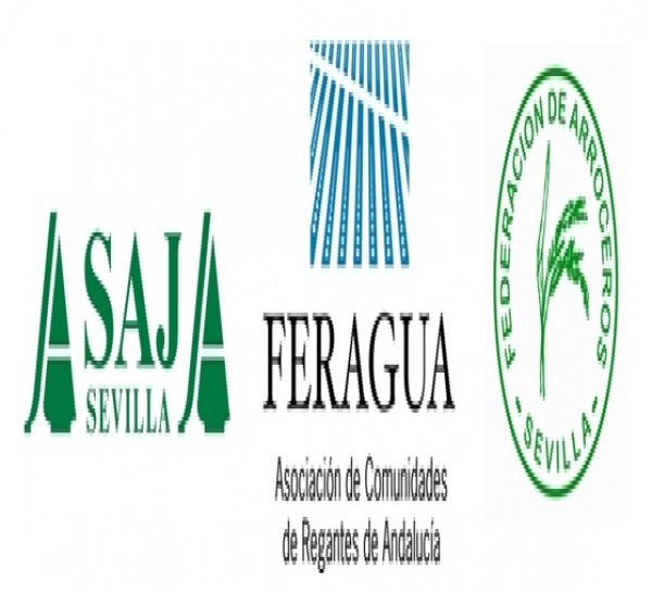 DRAGADO: ASAJA-SEVILLA, FERAGUA  Y LA FEDERACIÓN DE ARROCEROS, SATISFECHAS POR LA ROTUNDIDAD DEL MINISTERIO EN LA DEFENSA DEL SECTOR AGRARIO COMO CONDICIÓN INELUDIBLE PARA EL DRAGADO DEL GUADALQUIVIR