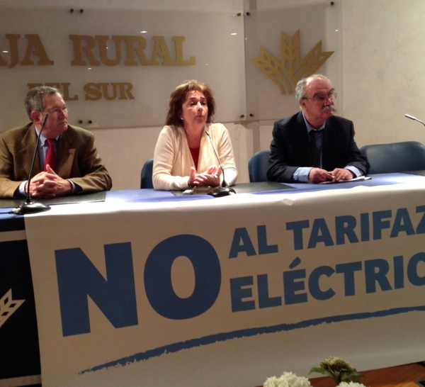 El ‘tarifazo eléctrico’ costará más de 2,2 millones anuales al regadío onubense, abocándolo a un futuro insostenible