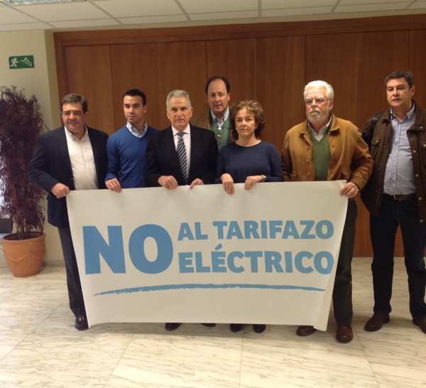 NOTA DE PRENSA: MÁS DE 4.000 REGANTES SE CONCENTRARÁN ANTE LA SEDE DE LA DELEGACIÓN DEL GOBIERNO EN ANDALUCÍA PARA EXIGIR UNA FACTURA ELÉCTRICA ADAPTADA A SU CONSUMO