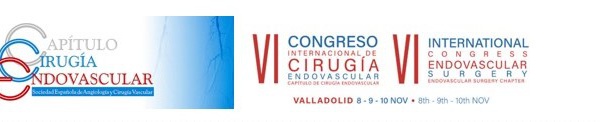 Más de 250 expertos se dan cita en Valladolid en un congreso internacional sobre los avances de la cirugía endovascular, que ya se aplica en un 80 por ciento