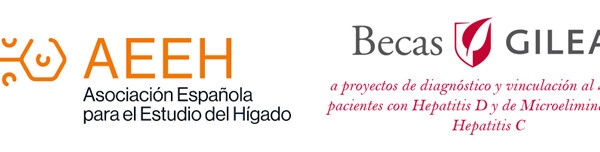Nota de Prensa-Gilead y la AEEH convocan la 8ª edición de las Becas Gilead-AEEH a proyectos de diagnóstico y vinculación al SNS de pacientes con hepatitis D y de microeliminación de hepatitis C