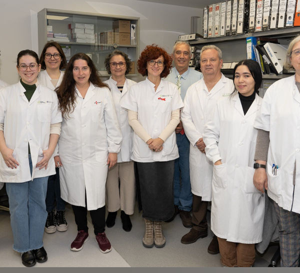 Un estudio español identifica marcadores inmunológicos que podrían anticipar el desarrollo de cáncer en personas con VIH